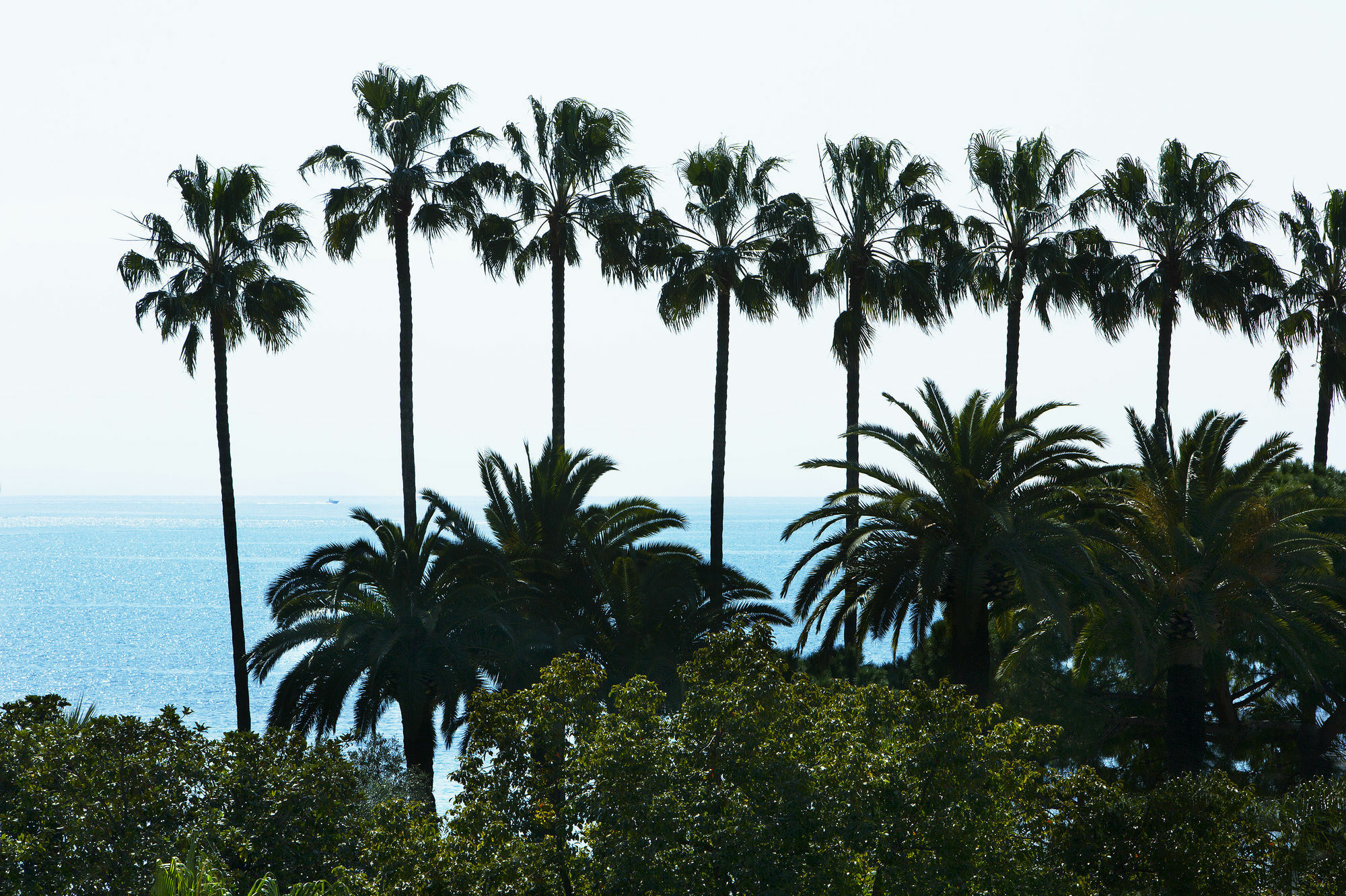 Villa D'Estelle Cannes Eksteriør billede